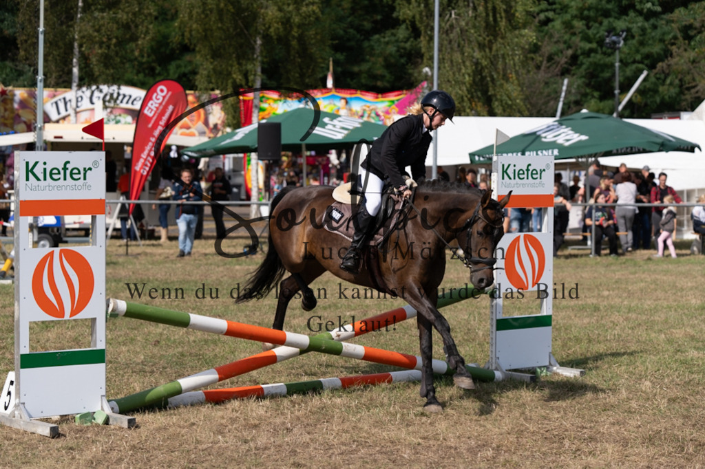 A7V08634 | Pferdefotograf