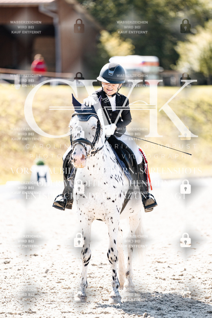 CK904248 | Turnierfotografie Pferdefotografie Trier Rheinland-Pfalz Pferdesport Reitsport Tierfotografie Sportfotografie Pferdevideo Pferdevideografie Equestrianvideography equestrianphotography  - Realisiert mit Pictrs.com