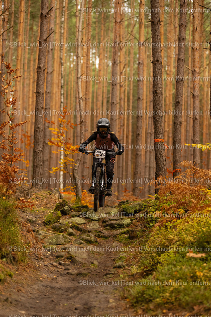 E68A2767 | blick_win_kel