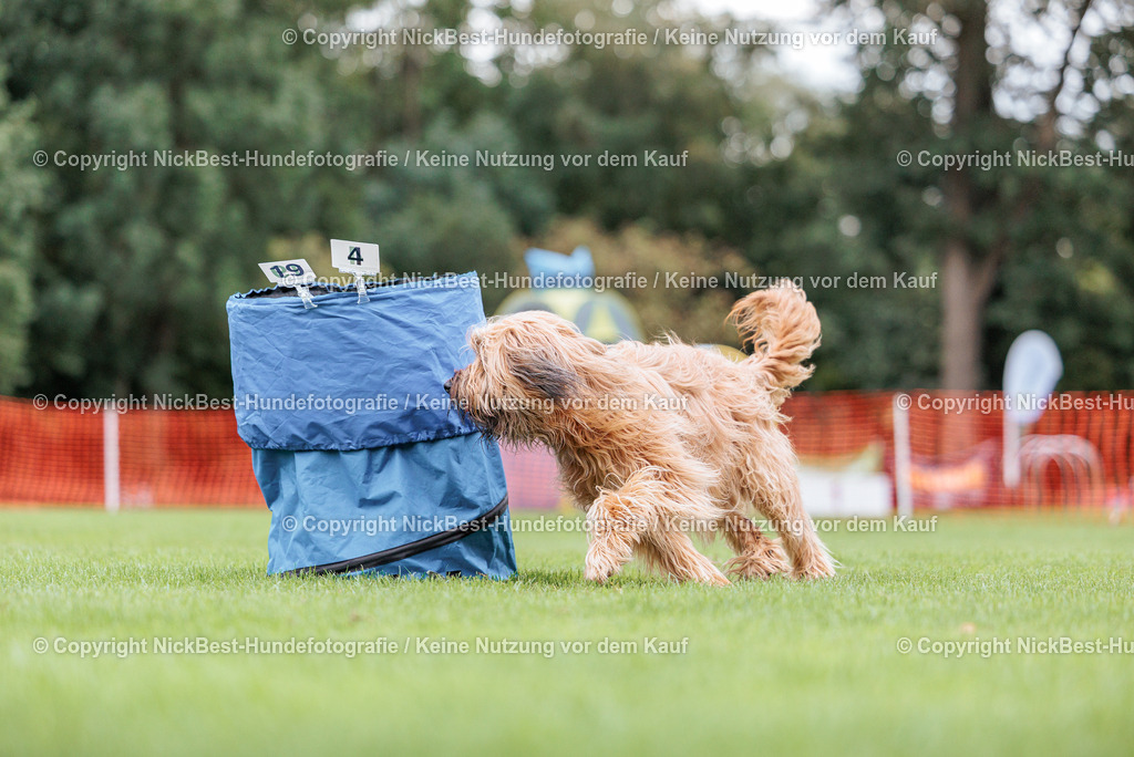 BSP Hoopers-H2 Tag2-2026-Nickbest-Hundefotografie-TuS Komet Arsten e.V.-8564 | Dein Hund! Dein Moment! Deine Erinnerungen! Hundefotografie in Bremen Blumenthal. Ich fange die besonderen Momente deines Vierbeiners ein – ob Indoor mit Blitzanlage oder in der freien Natur. Sicher dir dein Moment und dein Termin für eure Erinnerungen.
