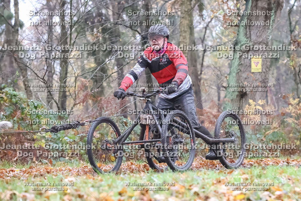 Dog Paparazzi - Ströhen 25-14 | Dog Paparazzi Jeanette Grottendiek Fotografie & Videografie - Realisiert mit Pictrs.com