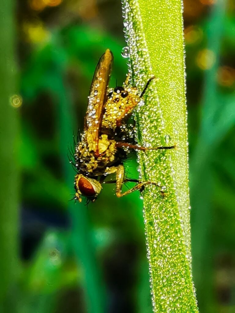 PSX_20220920_224942 | mtkfoto_ - Realisiert mit Pictrs.com