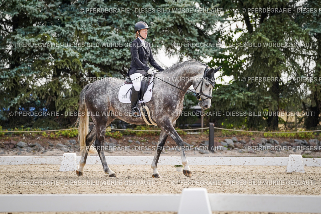 DSC08127 | Pferdegrafie