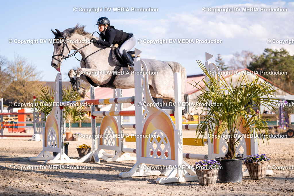 Kranichstein Tag 2-0901 | dv-media-shop - Realisiert mit Pictrs.com