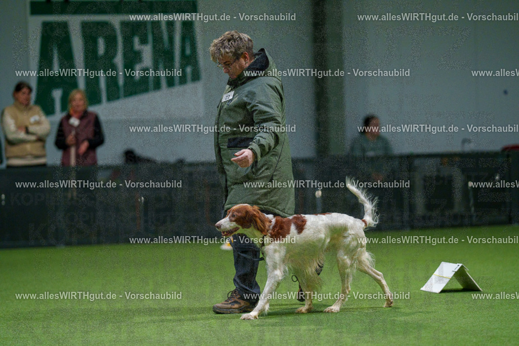 7R504812 | Professionelle Tierfotografie in Mönchengladbach von Daniel Wirth (allesWIRTHgut). Liebevolle & natürliche Bilder von Hunden & Katzen für unvergessliche Erinnerungen.