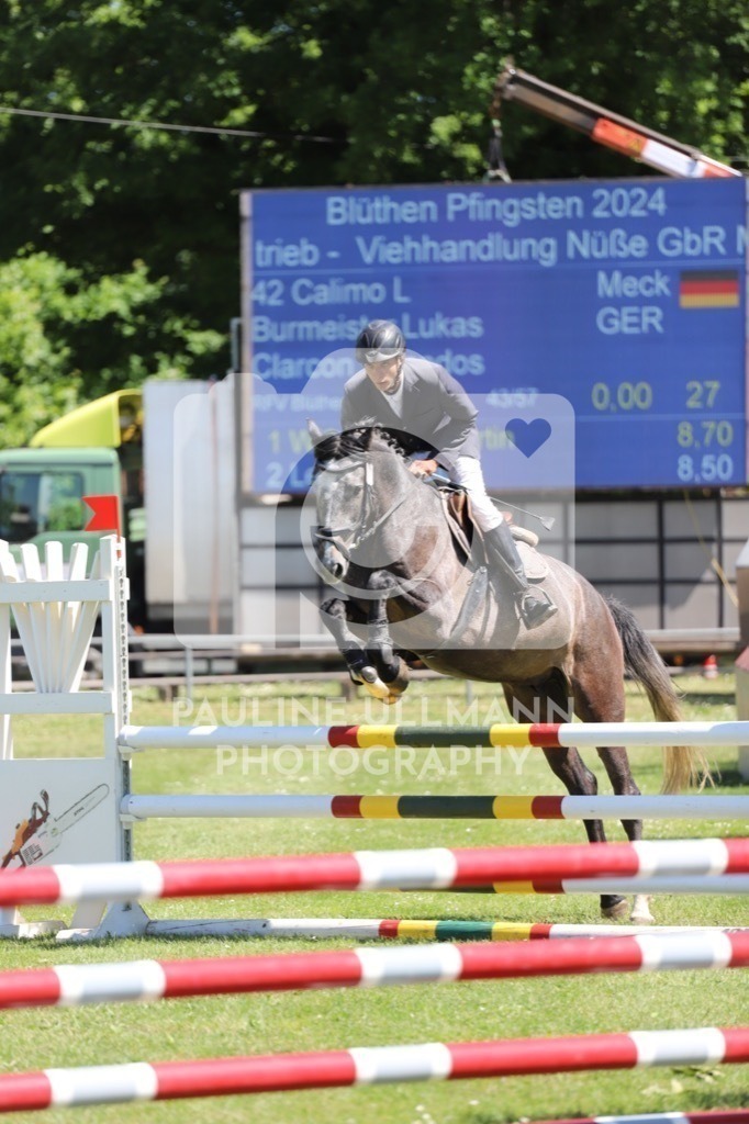 IMG_6276 | Pauline Ullmann Photography - Realisiert mit Pictrs.com