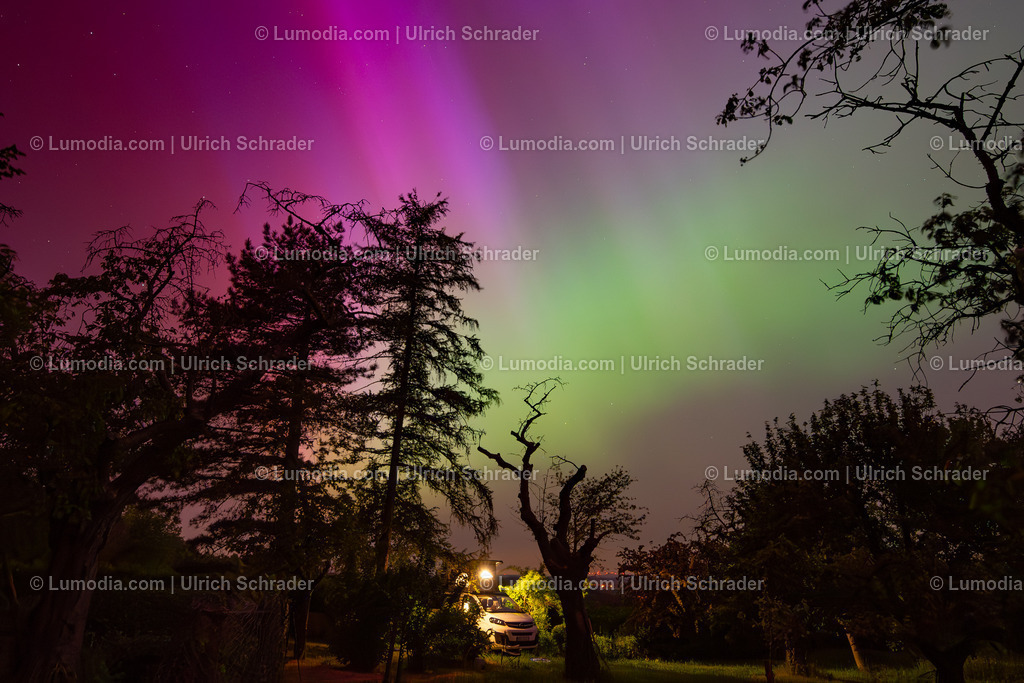 10049-13233 - Polarlicht am Huy | Stockfoto und Bilderpool mit Bildmaterial aus Deutschland, dem Harz, Halberstadt, Quedlinburg, Wernigerode und weltweit. Qualitativ hochwertige und professionelle Fotos anschauen und kaufen. - Realisiert mit Pictrs.com