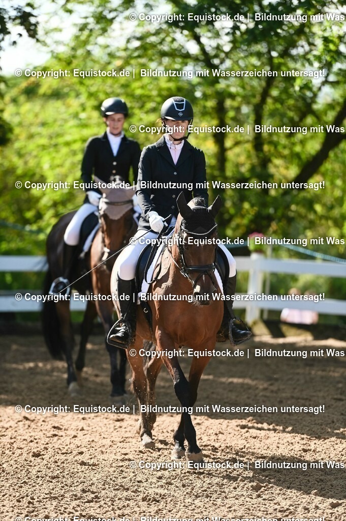 20230716_04_Dressurreiterprüfung Kl.A_0103 | equistock