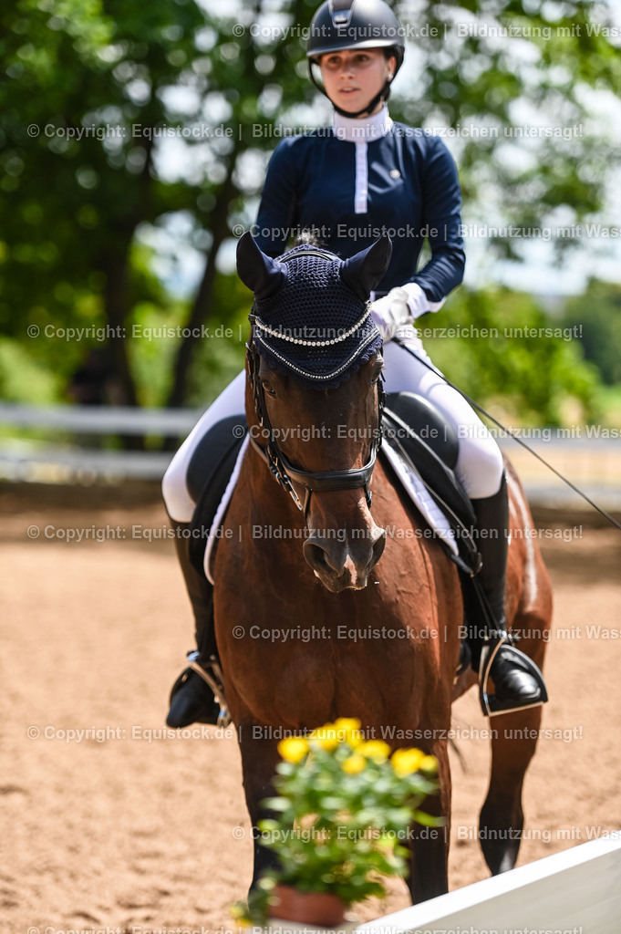 20230716_03_Dressurprfg. Kl.L - Tr._0280 | equistock