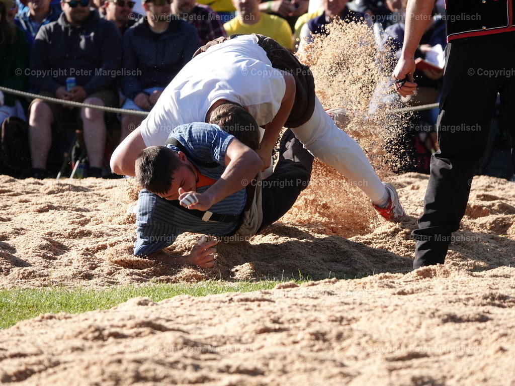 DSC07358 | Schwingen - Realisiert mit Pictrs.com