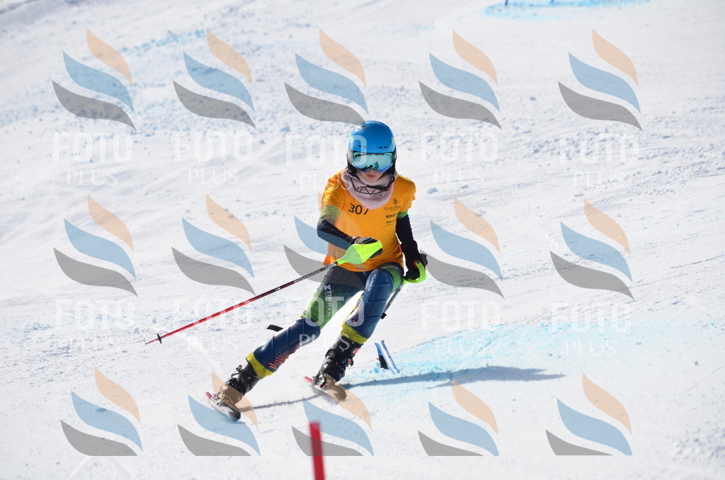 C9501 | holidayphoto