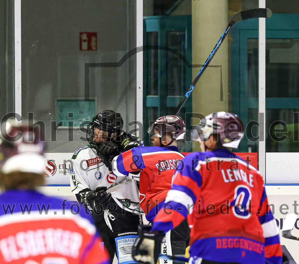 2022-09-09_069_TSV_Erding_gegen_Deggendorfer_SC | Erding, Deutschland, 09.09.2022:
Eishockey, Bayernliga 2022 / 2023, Testspiel, TSV Erding gegen Deggendorfer SC, Endergebnis: 2:5

Alex Grossrubatscher (Deggendorfer SC, #91)

Foto: Christian Riedel / fotografie-riedel.net