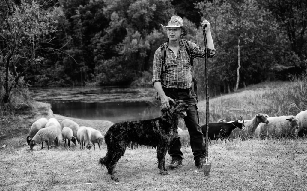 wanderschaefereien-schleswig-holstein-013 | Daniel Kley mit seiner Altdeutschen Hütehündin Loni in der Kiesgrube bei Böxlund. - Realisiert mit Pictrs.com