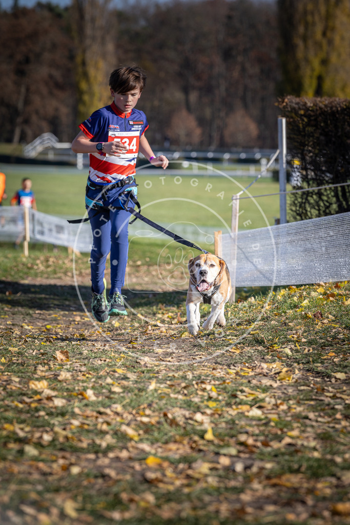 CaniXpix_DV3A8294 | Hundefotografie, Tierfotograf, Pfotenfotografie, Fotoshooting Hund, Hunde Portrait, Hundesport, Hundeportraits, Heideshooting, Hunde, Sportfotograf, Hundefotograf, Turnierhundsport, THS,  - Realisiert mit Pictrs.com