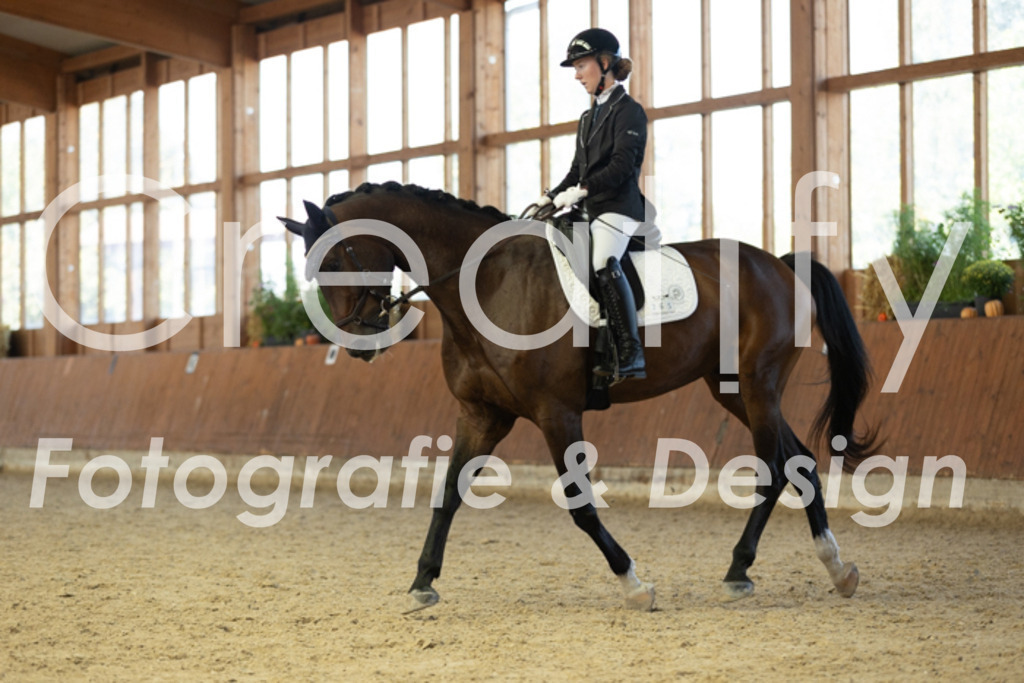 IMG_9396 | Creatify Fotografie