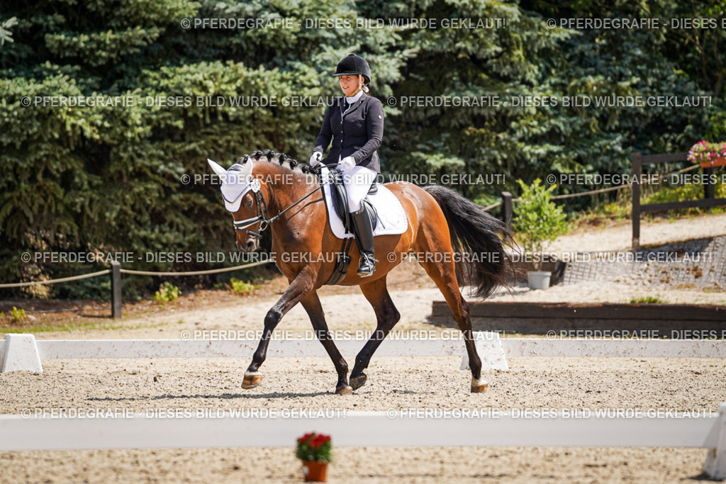 DSC01126 | Pferdegrafie