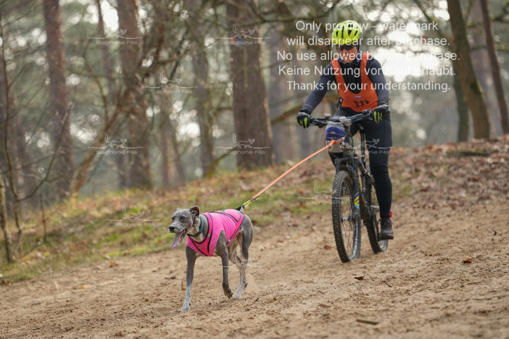 Bike1-263 | stephaniefillaphotographie - Realisiert mit Pictrs.com