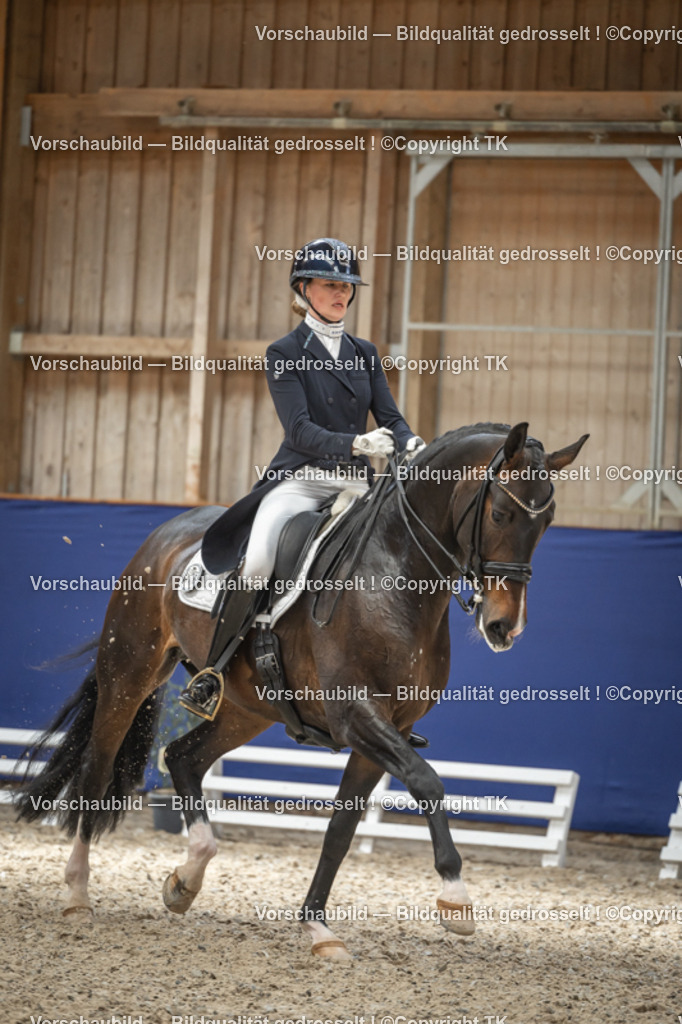 _D5A2947 | Emotionale Pferde- & People-Fotografie rund um Heidelberg, Leimen & Umgebung. Natürliche Fotos von Pferd, Mensch & Familie. Jetzt Termin sichern!