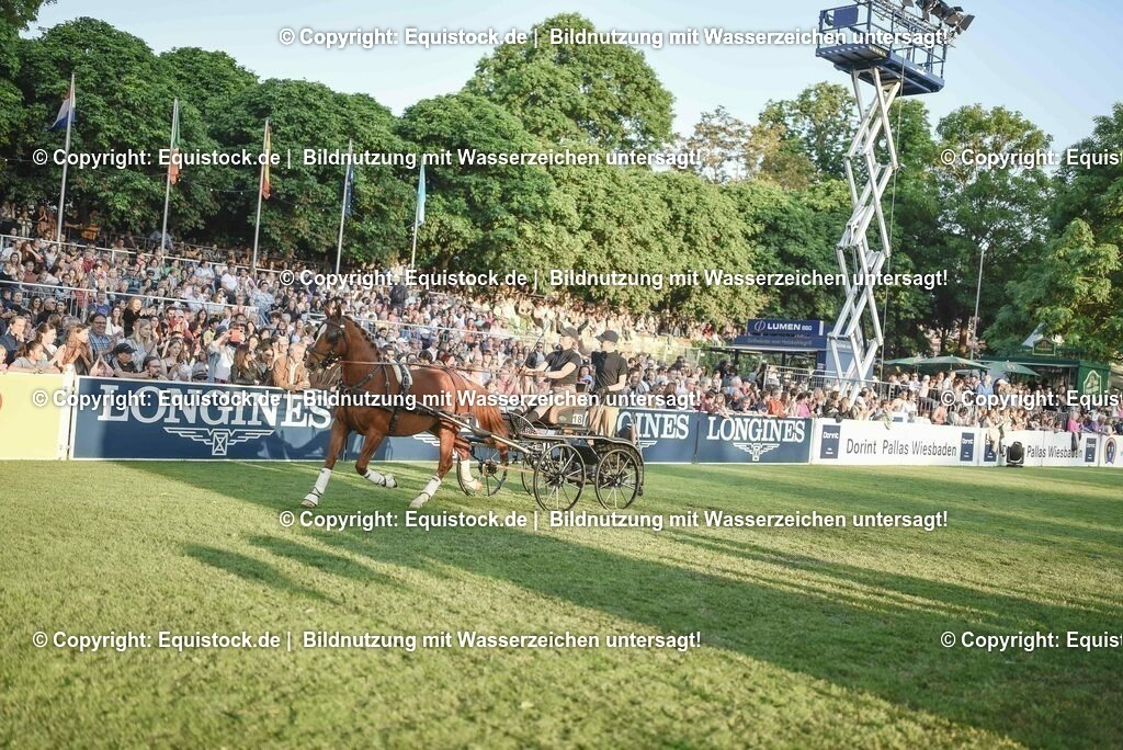 20230526_Pferdenacht_0089 | equistock