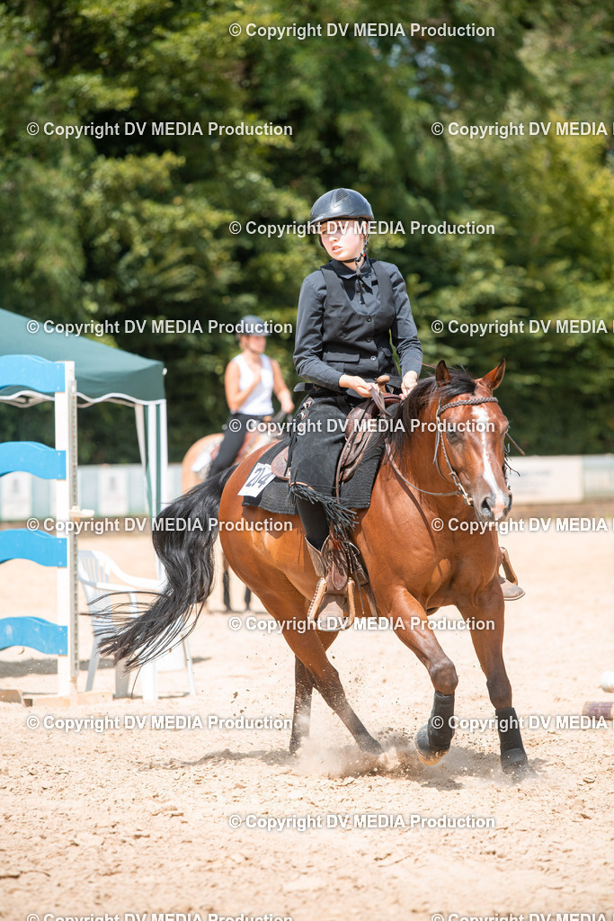 EWP_6682 | dv-media-shop - Realisiert mit Pictrs.com