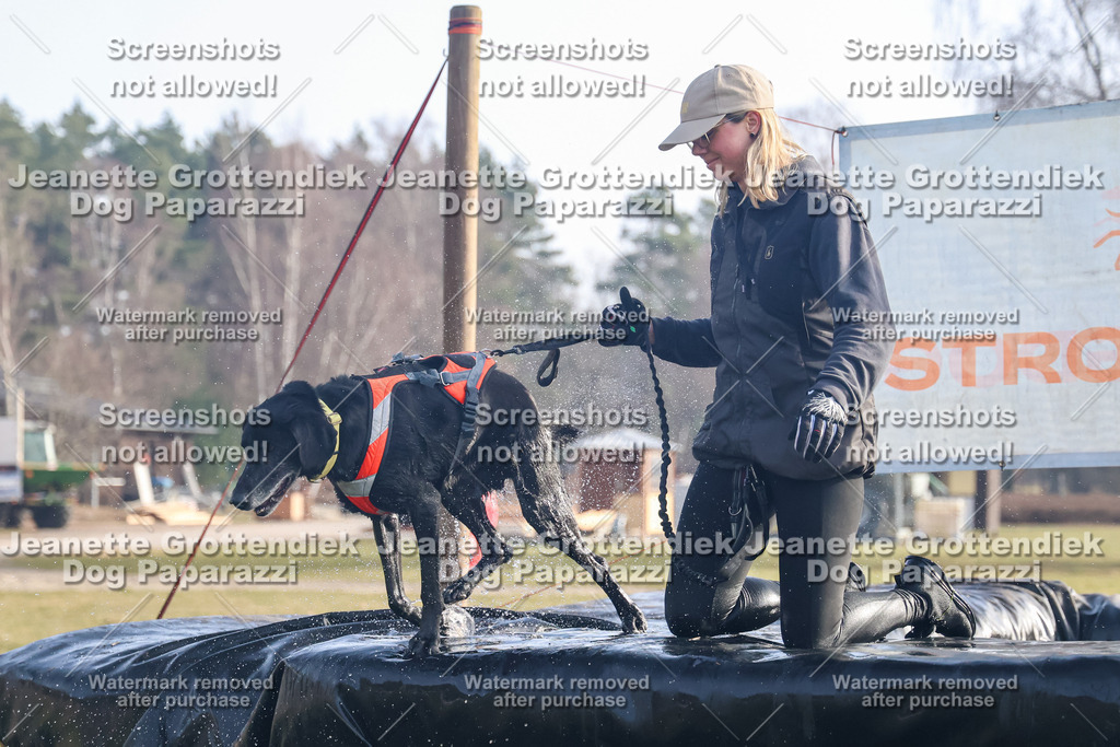 Dog Paparazzi - Strongdog North Mrz26-79 | Dog Paparazzi Jeanette Grottendiek Fotografie & Videografie - Realisiert mit Pictrs.com