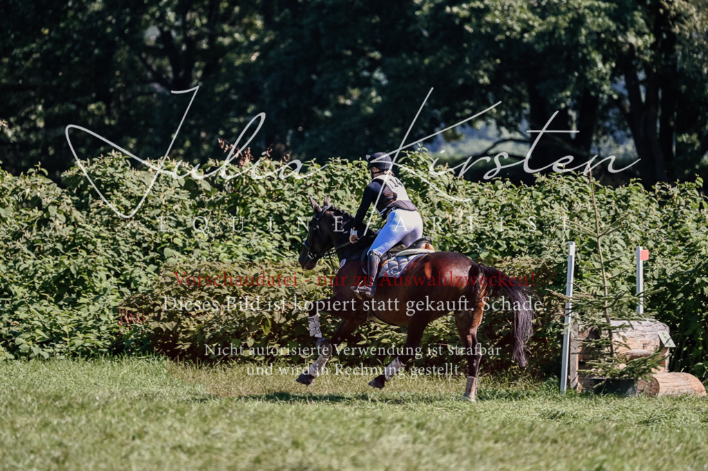 DSC_1826 | Pferde- und Turnierfotografie in Westsachsen. Pferdeportraits, Auftragszeichnungen und intuitive Kunst.