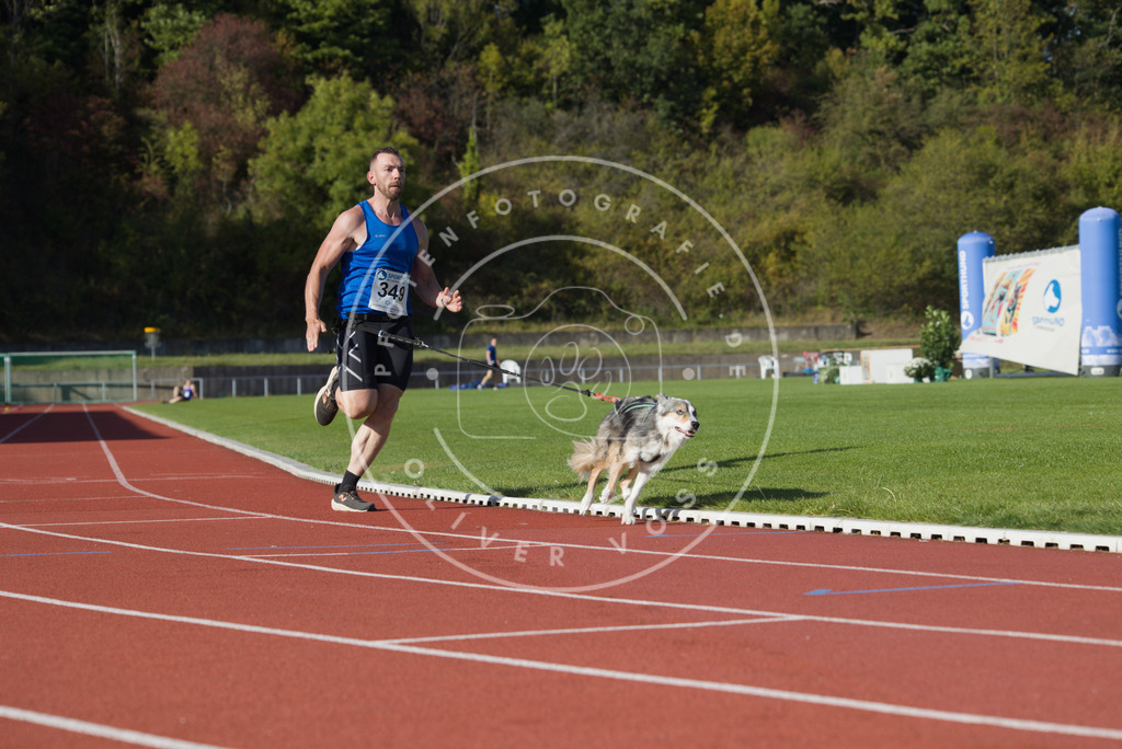 0L8A9743 | Hundefotografie, Tierfotograf, Pfotenfotografie, Fotoshooting Hund, Hunde Portrait, Hundesport, Hundeportraits, Heideshooting, Hunde, Sportfotograf, Hundefotograf, Turnierhundsport, THS,  - Realisiert mit Pictrs.com