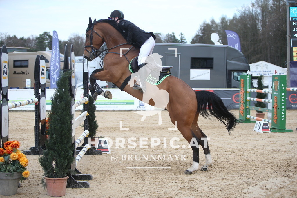 AS8V8371 | Willkommen bei Brunnmayr - Design & Fotografie – Ihrem Spezialisten für Reitturniere und Pferdeveranstaltungen in Oberösterreich, Salzburg und Bayern! Seit über 17 Jahren sind wir leidenschaftlich dabei.