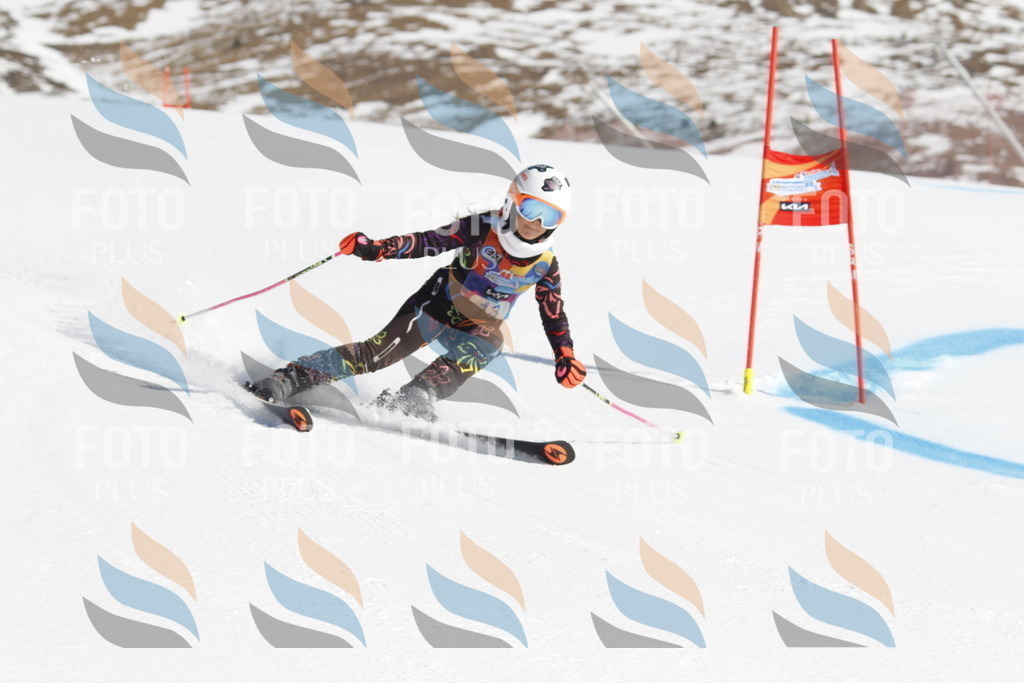 _U3G8716 | holidayphoto