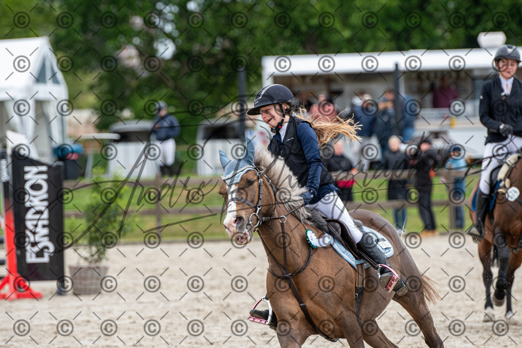 KPT_8136 | andre_photographic