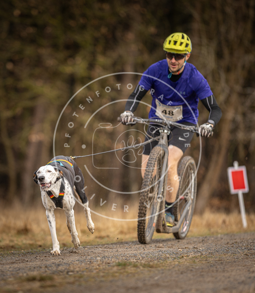 DV3A3414 | Hundefotografie, Tierfotograf, Pfotenfotografie, Fotoshooting Hund, Hunde Portrait, Hundesport, Hundeportraits, Heideshooting, Hunde, Sportfotograf, Hundefotograf, Turnierhundsport, THS,  - Realisiert mit Pictrs.com