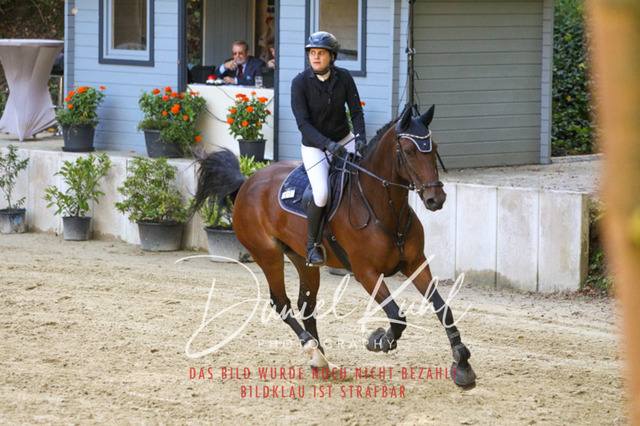 DKP42830 | Turniersportfotografie; Pferdefotografie; Dressurfotografie