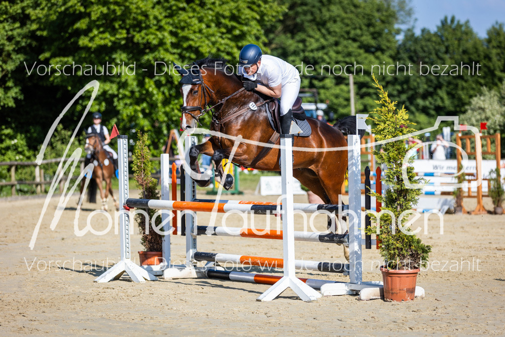 Donop24-ASpr-082 | MomenTaufnahmen Pferdesportfotos