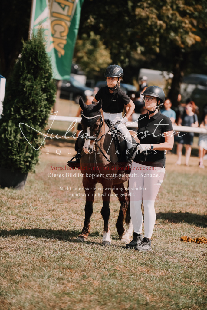 DSC_6085 | Pferde- und Turnierfotografie in Westsachsen. Pferdeportraits, Auftragszeichnungen und intuitive Kunst.