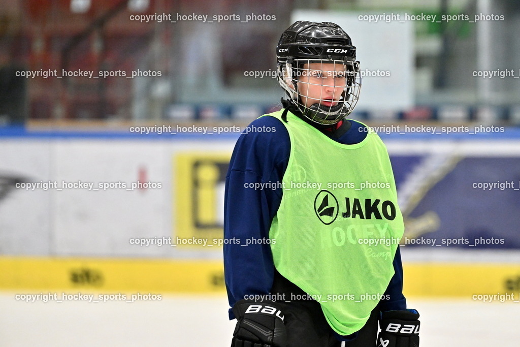 Z9B_3377 | hockey sports photos, Pressefotos, Sportfotos, hockey247, win 2day icehockeyleague, Handball Austria, Floorball Austria, ÖVV, Kärntner Eishockeyverband, KEHV, KFV, Kärntner Fussballverband, Österreichischer Volleyballverband, Alps Hockey League, ÖFB, 