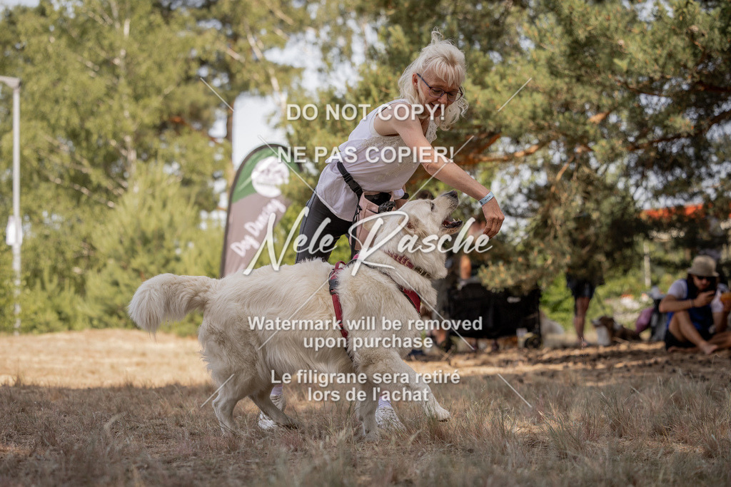 nelerasche_soDD2_201 | nelerasche