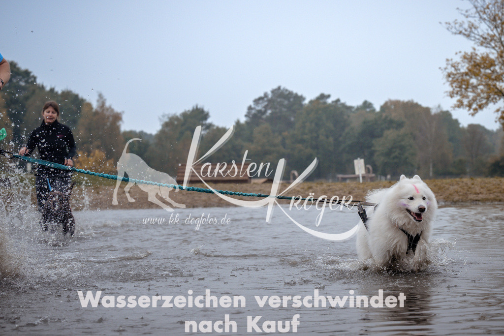 1015_ZZ98804 | kk-dogfotos