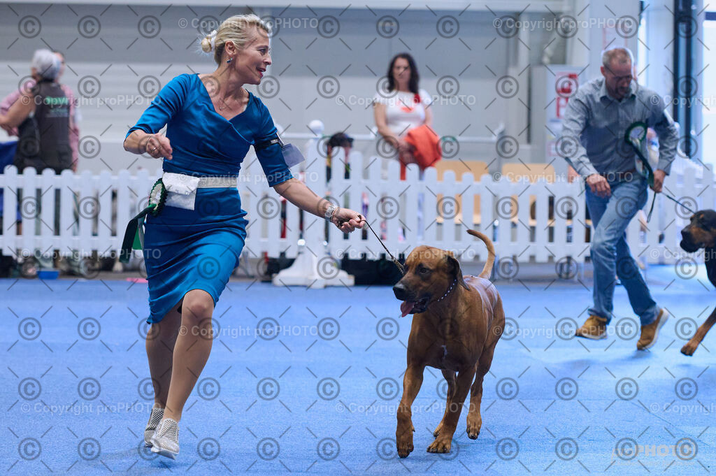 202406_ÖKV-IHA-Tulln24_DSC_3973 | proPHOTO - Realisiert mit Pictrs.com