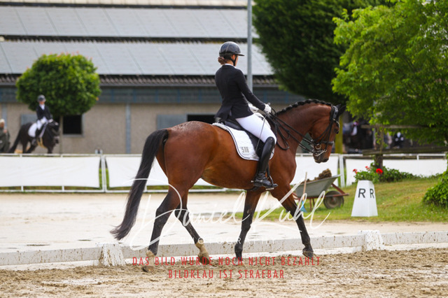 DKP40469 | Turniersportfotografie; Pferdefotografie; Dressurfotografie