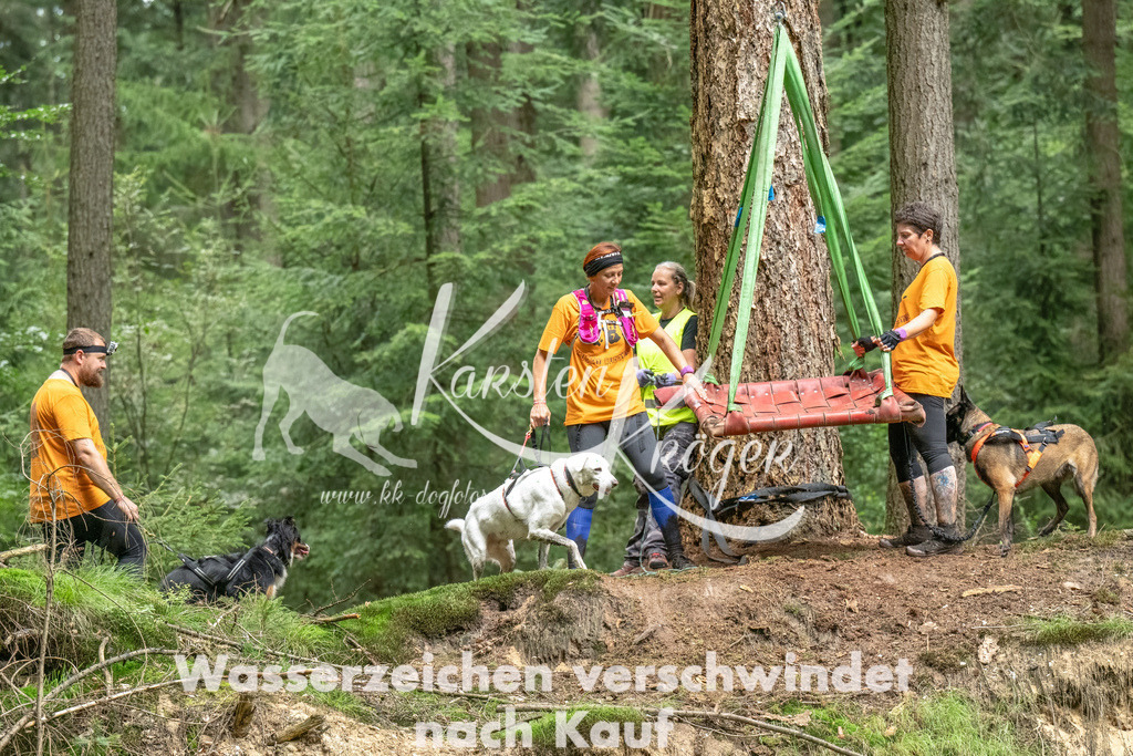 1148_ZZ90637-Bearbeitet | kk-dogfotos