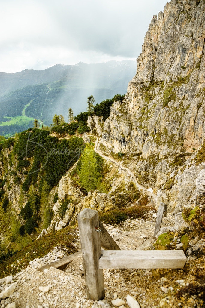 _DSC4876 | Baumgartner Markus Fotografie