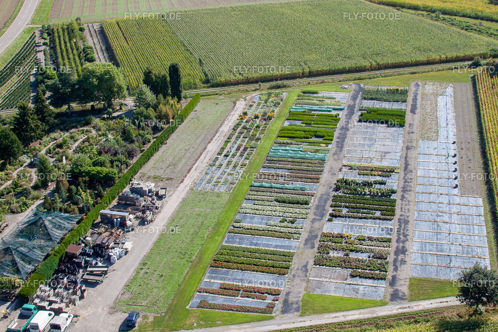 Gartenzeiten  Schwarz https://gartenzeiten-schwarz.de/ | Luftbild: Gartenzeiten  Schwarz https://gartenzeiten-schwarz.de/ im Ortsteil Bodersweier in Kehl im Bundesland Baden-Württemberg in Deutschland. Foto: IMG_20638.jpg vom 31.08.2009 durch Werner Riehm/FLY-FOTO.de - Realisiert mit Pictrs.com