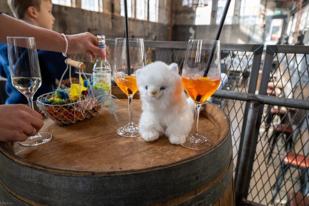 WWB_6618 | <Fotografie> <Video> <Film> <Winfried Bischoff> - Realisiert mit Pictrs.com