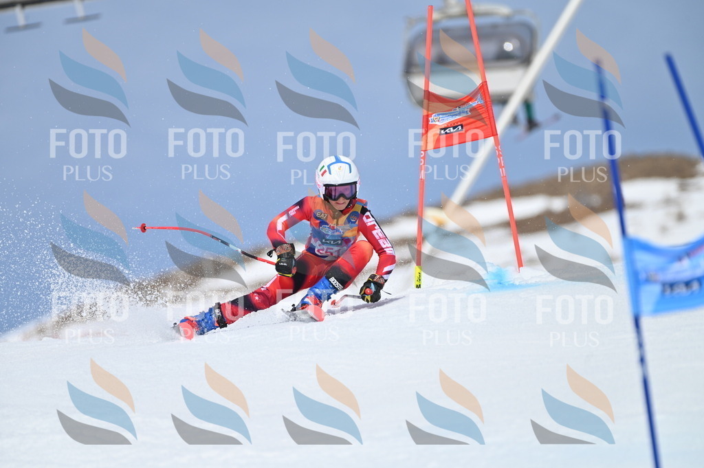 BGV_1890 | holidayphoto