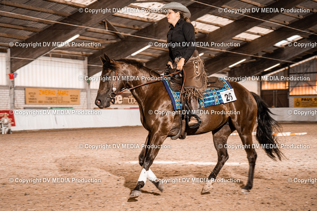 ZH300245 | dv-media-shop - Realisiert mit Pictrs.com