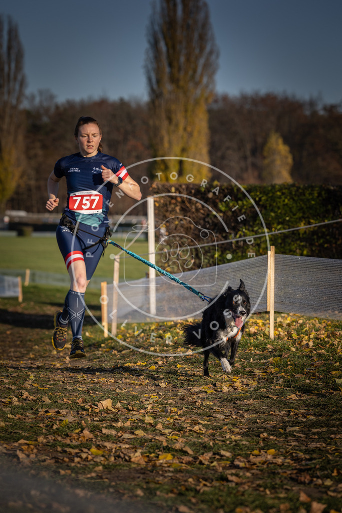 CaniXpix_DV3A2586 | Hundefotografie, Tierfotograf, Pfotenfotografie, Fotoshooting Hund, Hunde Portrait, Hundesport, Hundeportraits, Heideshooting, Hunde, Sportfotograf, Hundefotograf, Turnierhundsport, THS,  - Realisiert mit Pictrs.com