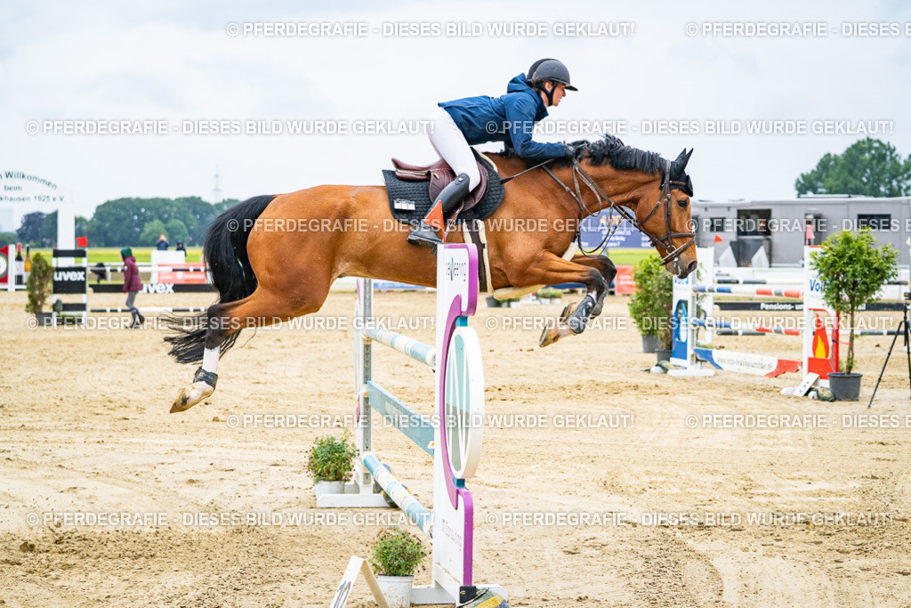 DSC09412 | Pferdegrafie