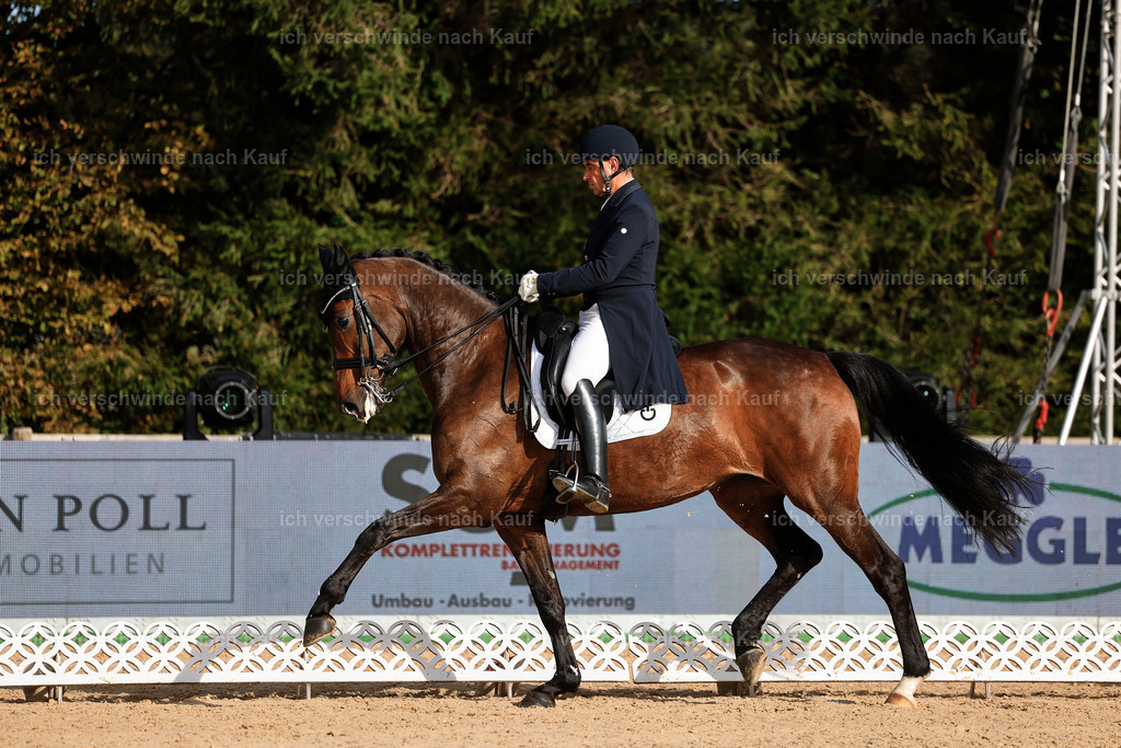 13-226-S___ -StoibPH-6916 | working equitationturnier fotograf videograf stoibphotography marixx film working equitation deutschland reitsport turnierfotografie eventfotografie equestrian events
