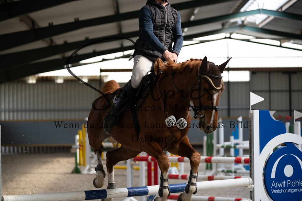 A7V08291 | Pferdefotograf