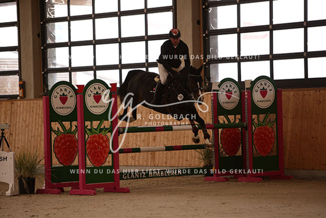 1J2A2238Paul Wiktor_ Majesta_ Kn368_ Hohen Wieschendorf_ Glantz | Foto- und Videografie für alles rund ums Pferd. Hochwertige Bilder und Videos vom Spring- und Dressurreiten, Voltigieren & mehr. Jetzt aktuelle Veranstaltungen und Preise im Shop ansehen. - Realisiert mit Pictrs.com